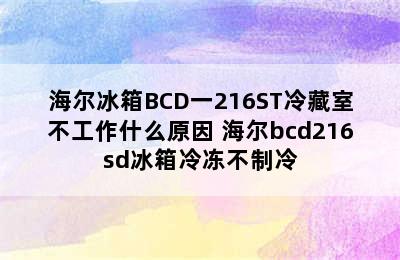 海尔冰箱BCD一216ST冷藏室不工作什么原因 海尔bcd216sd冰箱冷冻不制冷